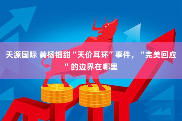 天源国际 黄杨钿甜“天价耳环”事件，“完美回应”的边界在哪里