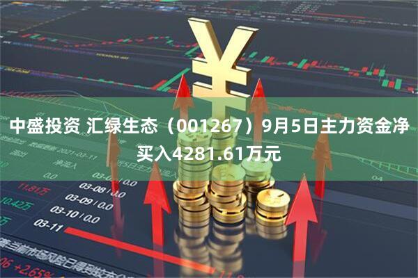 中盛投资 汇绿生态（001267）9月5日主力资金净买入4281.61万元