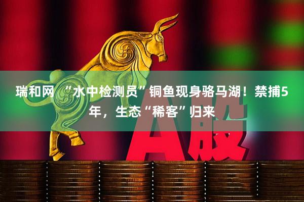 瑞和网  “水中检测员”铜鱼现身骆马湖！禁捕5年，生态“稀客”归来